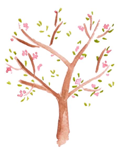 Almafa bimbós állapotban. Mire kell figyelni? Hasznos információk.