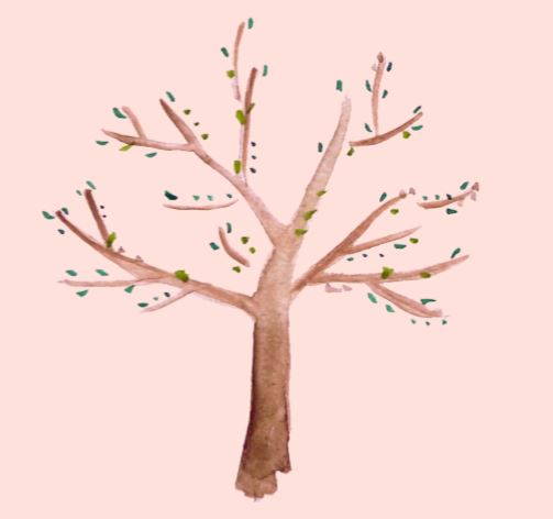 A rügypattanás utáni idő az almánál. Mire kell figyelni rügypattanás után? 