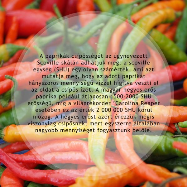 A paprikák csípősségét az úgynevezett Scoville-skálán adhatjuk meg: a scoville egység (SHU) egy olyan számérték, ami azt mutatja meg, hogy az adott paprikát hányszoros mennyiségű vízzel hígítva veszti el az oldat a csípős ízét. A magyar hegyes erős paprika például átlagosan 1500-2000 SHU erősségű, míg a világrekorder ’Carolina Reaper esetében ez az érték 2 000 000 SHU körül mozog. A hegyes erőst azért érezzük mégis viszonylag csípősnek, mert egyszerre általában nagyobb mennyiséget fogyasztunk belőle.