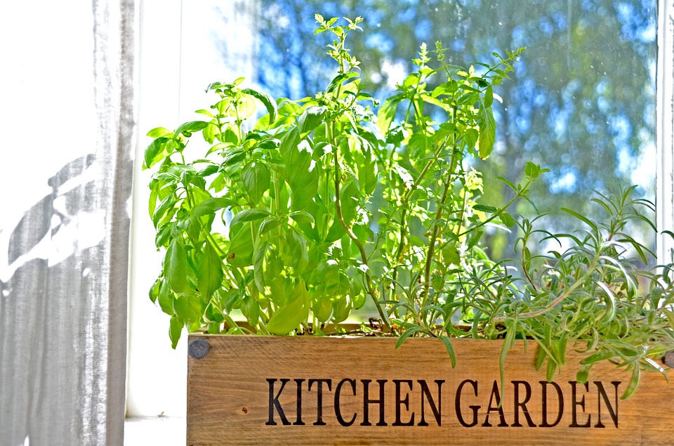Októberi teendők kiskertünkben: a konyhakert ápolása – általános tudnivalók. Hasznos tippek az oldalon!