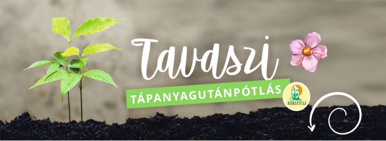 Tavaszi tudnivalók: a tavaszi műtrágya. Hasznos tudnivalók és információk! Mire kell figyelni? Tanácsok az oldalon. 