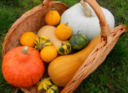 Októberi teendők kisketünkben