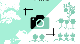 Fatudorral kertészkedek kert szépségverseny