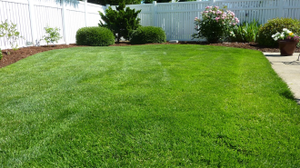 tavaszi-gyeptelepites