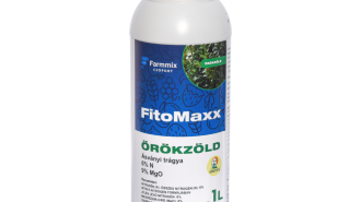 fitomaxx örökzöld