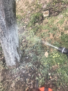 Lemosó permetezés, azaz a fák elmaradhatatlan, utolsó növényvédelmi kezelése a tél beállta előtt